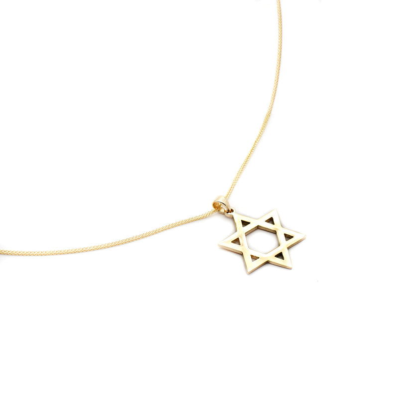 14K Gold Star of David Pendant Necklace