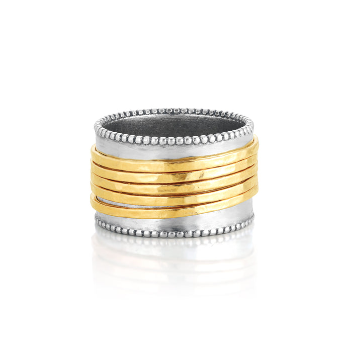 Danny Newfeld Jewelry Two Tone Spinner Ring for women