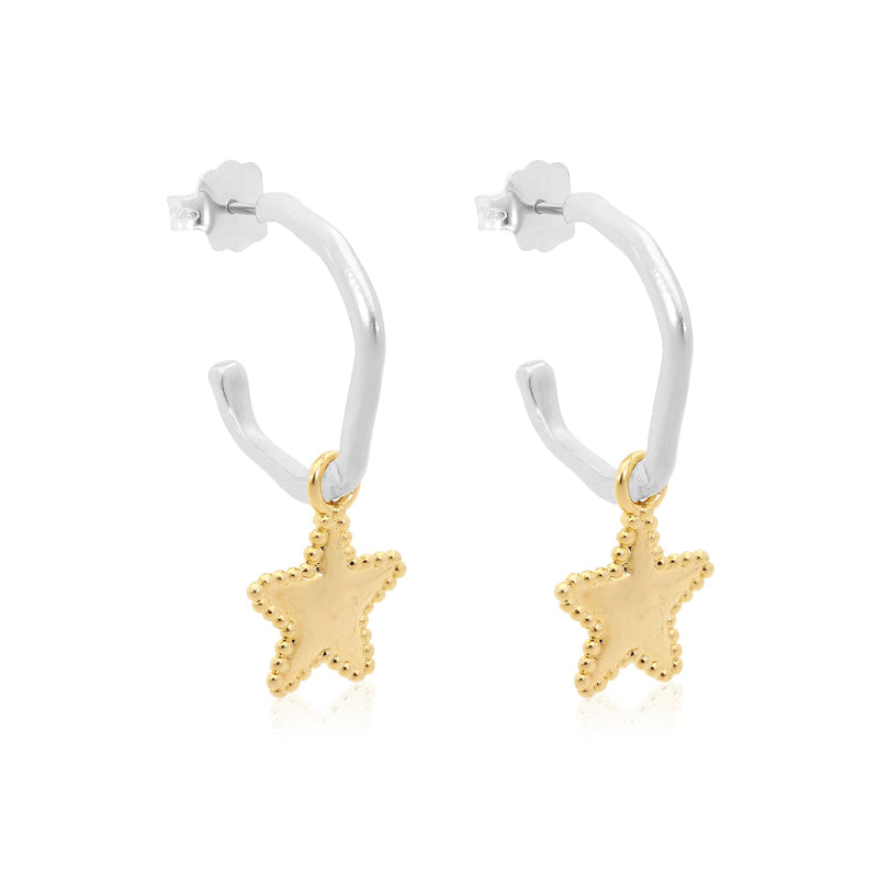 Star Charm Amorphic Hoop Earrings